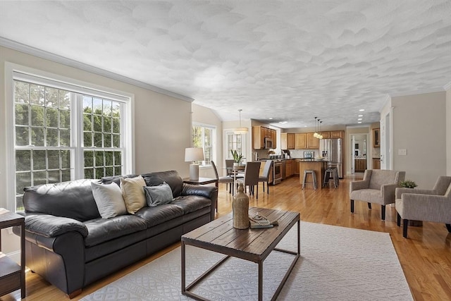 living room featuring crown molding, a textured ceiling, and light wood-style floors