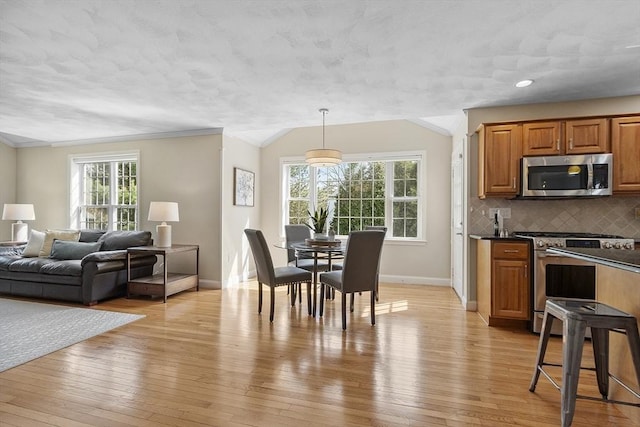 kitchen with stainless steel appliances, baseboards, dark countertops, and a healthy amount of sunlight