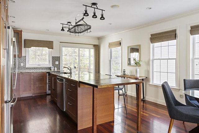 kitchen featuring dark wood-style flooring, stainless steel appliances, and plenty of natural light
