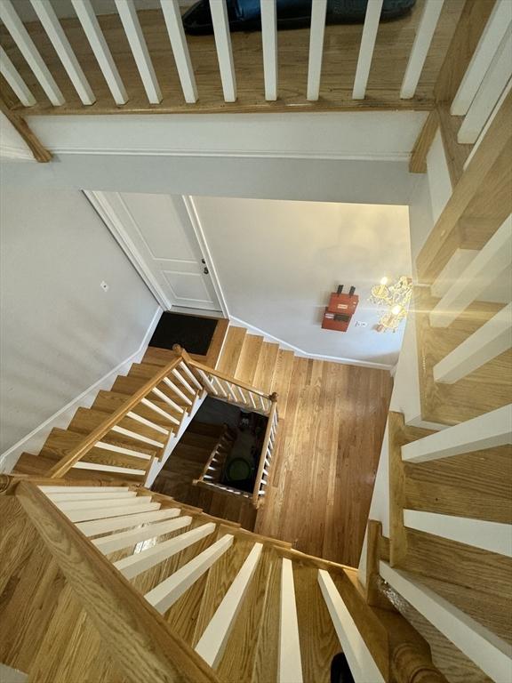 staircase with wood walls and hardwood / wood-style floors