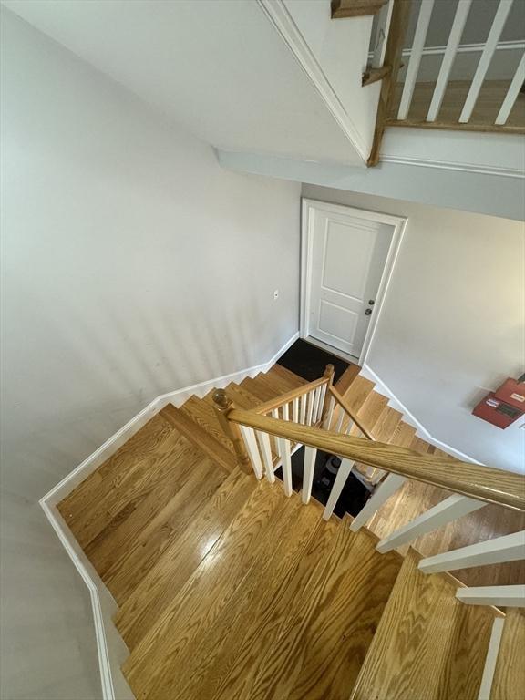 staircase with wood-type flooring