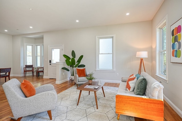 living room with a healthy amount of sunlight and light hardwood / wood-style floors