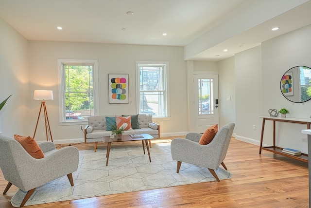 living room featuring light hardwood / wood-style floors and a wealth of natural light