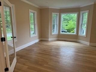 220 Mill St, Burlington, MA 01803 - spare room with healthy amount of natural light, baseboards, and crown molding