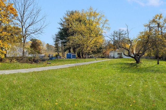 view of yard with a storage shed