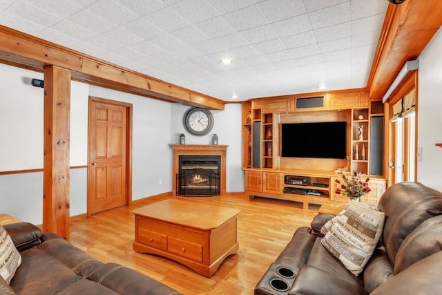 living room with light wood-type flooring