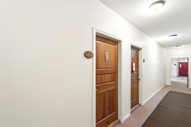 124 College St Unit 20, South Hadley, MA 01075 - hall with carpet flooring and baseboards