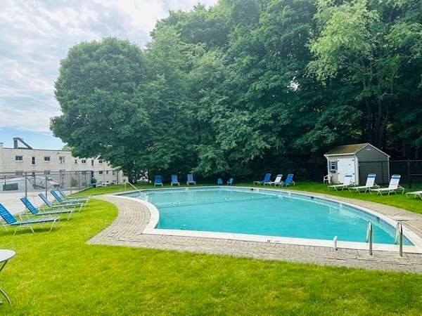 view of swimming pool featuring a storage shed and a yard