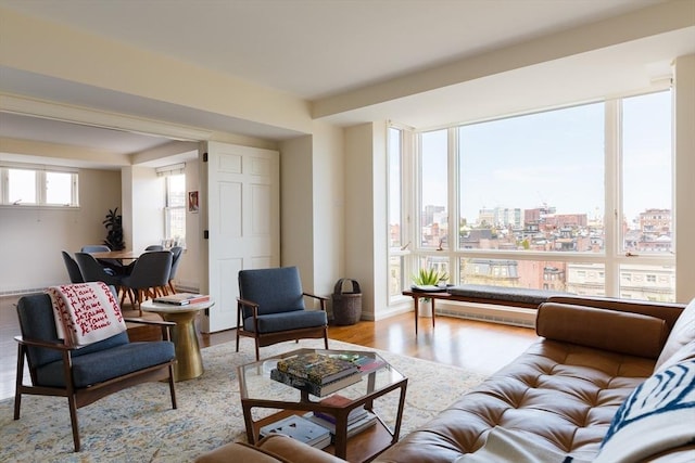 2 Commonwealth Ave Unit 8G, Boston, MA 02116 - living room featuring wood finished floors and a view of city