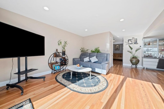 living room featuring wood-type flooring