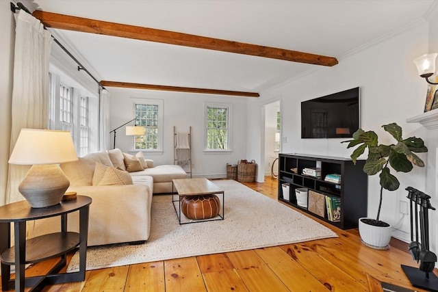 6 Shannon Cir, Westford, MA 01886 - living area featuring wood-type flooring, beamed ceiling, and ornamental molding
