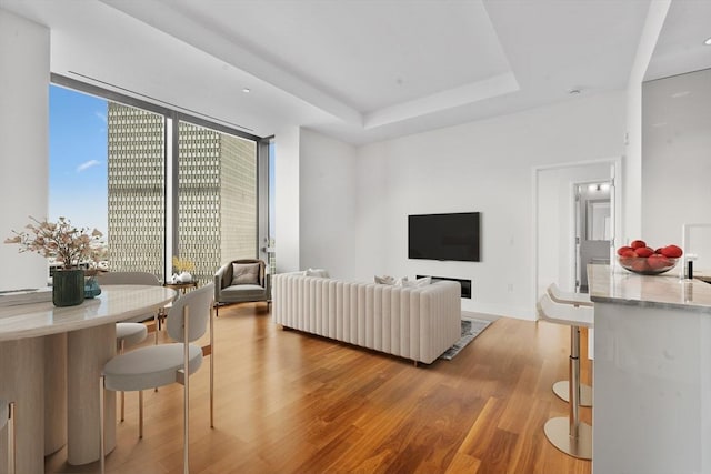 1 Dalton St Unit 3302, Boston, MA 02199 - living area with light wood-type flooring, a raised ceiling, and baseboards