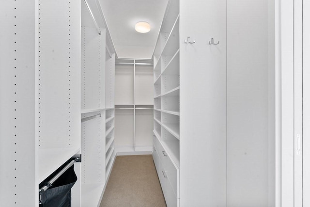 1 Dalton St Unit 3302, Boston, MA 02199 - walk in closet featuring light carpet