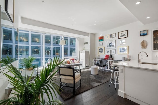 home office featuring dark hardwood / wood-style floors and sink