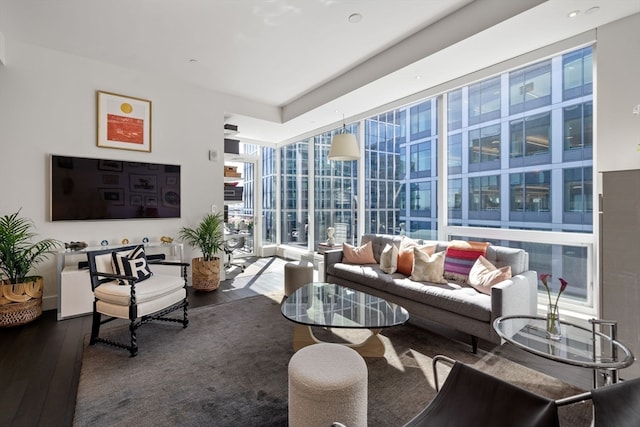 living room with a wall of windows and wood-type flooring