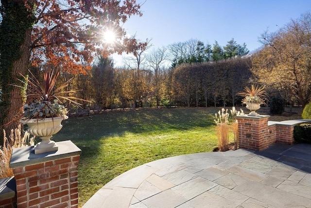 view of yard with a patio area