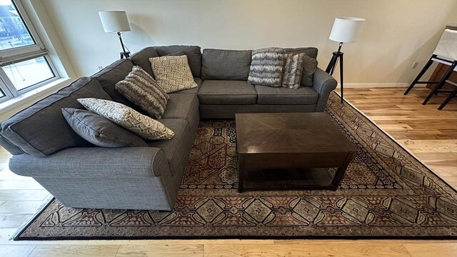 living room with wood finished floors