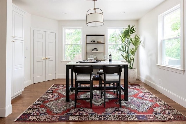 151 Salisbury Rd, Brookline, MA 02445 - dining room with healthy amount of natural light and dark wood-style flooring
