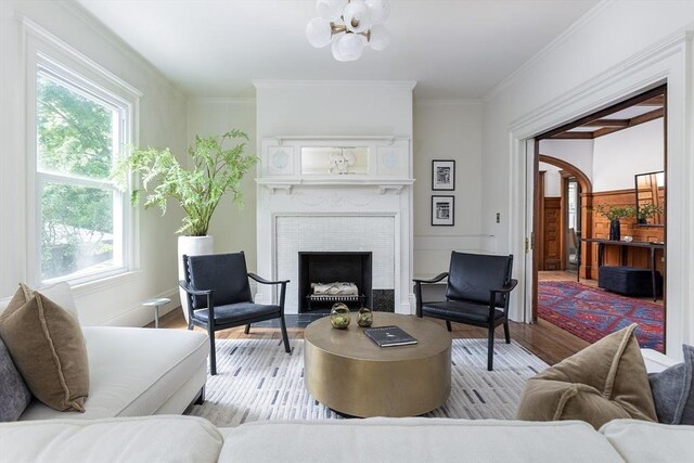 151 Salisbury Rd, Brookline, MA 02445 - living room with wood finished floors, a fireplace with flush hearth, and ornamental molding