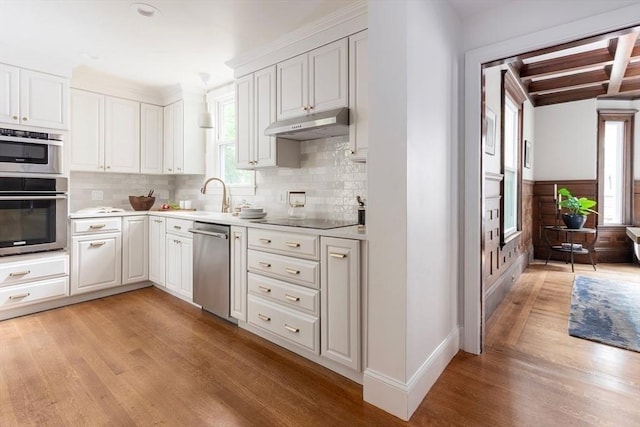151 Salisbury Rd, Brookline, MA 02445 - kitchen featuring stainless steel appliances, under cabinet range hood, light wood finished floors, and plenty of natural light