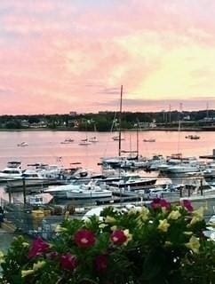 property view of water with a boat dock