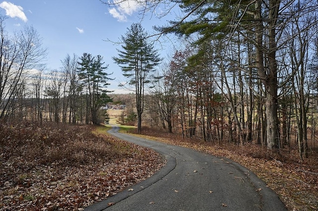 201 Main Rd, Williamsburg, MA 01039 - view of road