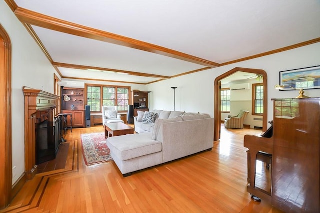 493 Salisbury St, Worcester, MA 01609 - living room with a wall mounted AC, light wood-style flooring, a fireplace, arched walkways, and healthy amount of natural light