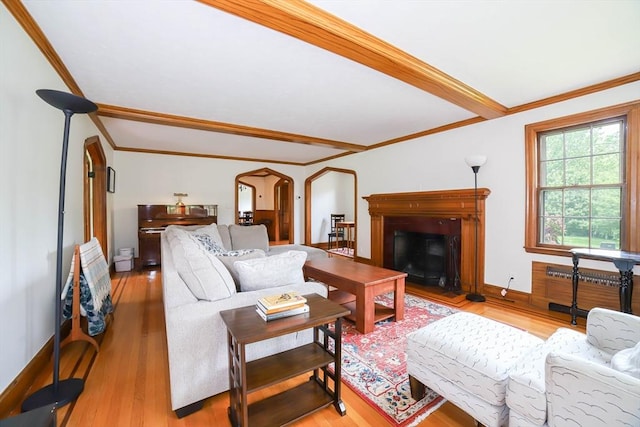 493 Salisbury St, Worcester, MA 01609 - living room with arched walkways, light wood-style floors, ornamental molding, a glass covered fireplace, and baseboards