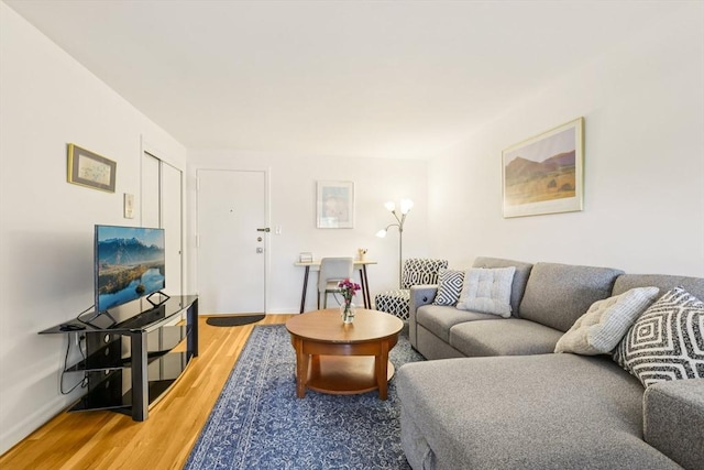 128 Pleasant St Unit 407, Arlington, MA 02476 - living area with light wood-style floors and baseboards