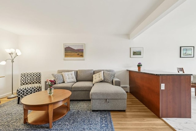 128 Pleasant St Unit 407, Arlington, MA 02476 - living room featuring baseboard heating, light wood-style flooring, and baseboards