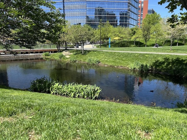 2 Earhart Unit 409, Cambridge, MA 02141 - water view