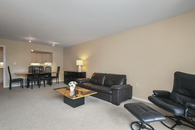 131 Coolidge Ave Unit 422, Watertown, MA 02472 - carpeted living room featuring baseboards and rail lighting