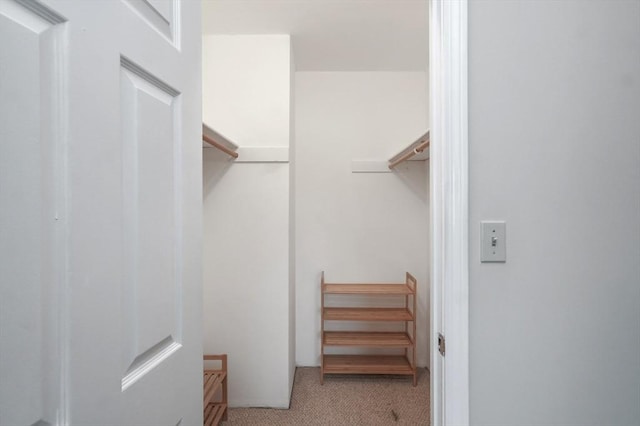 131 Coolidge Ave Unit 422, Watertown, MA 02472 - walk in closet featuring carpet flooring