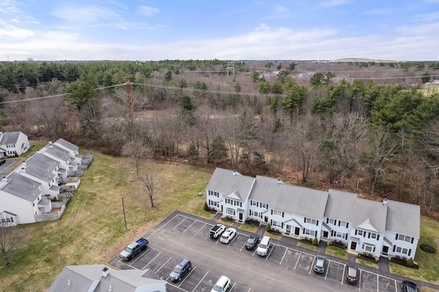 drone / aerial view