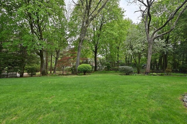 view of green lawn