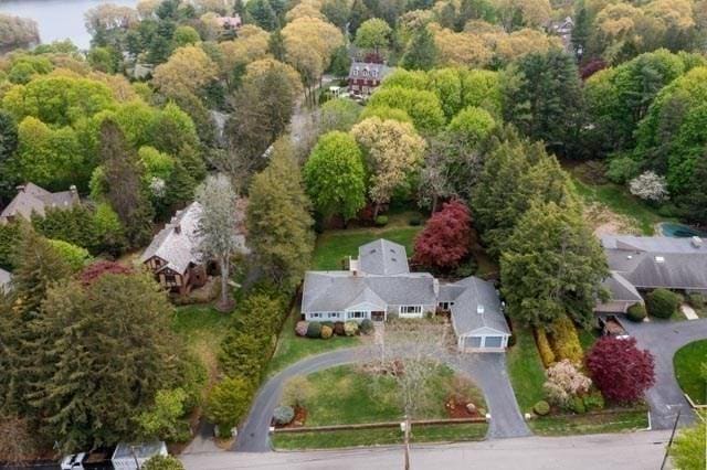 bird's eye view of a forest