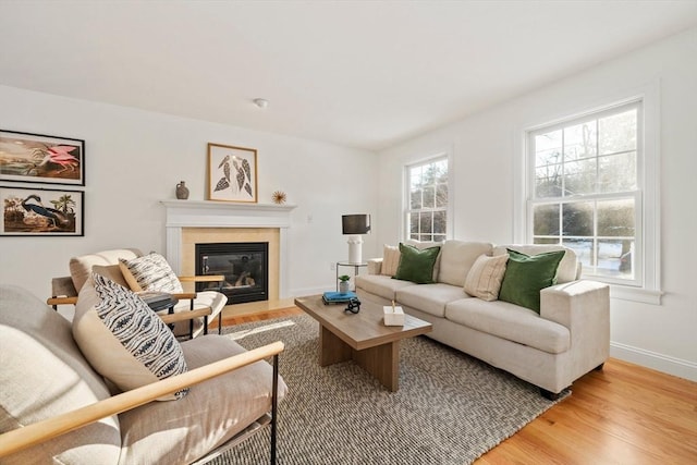 living room with light hardwood / wood-style floors