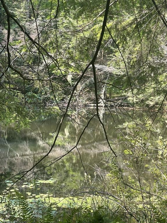 0 Dudleyville Rd, Leverett, MA 01054