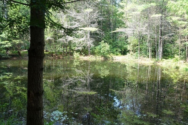 0 Dudleyville Rd, Leverett, MA 01054