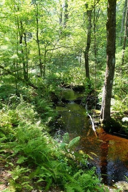 0 Dudleyville Rd, Leverett, MA 01054