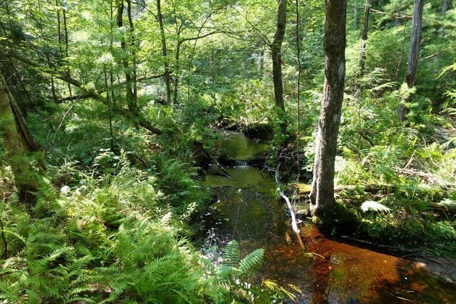 0 Dudleyville Rd, Leverett, MA 01054