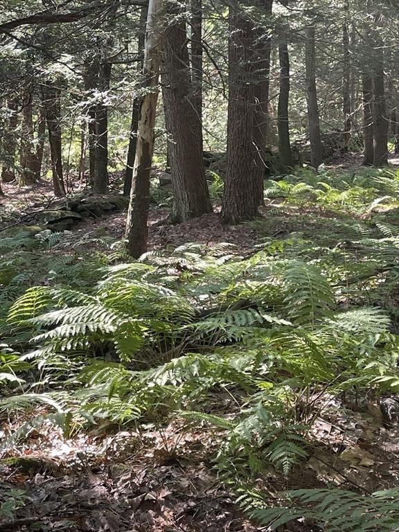 0 Dudleyville Rd, Leverett, MA 01054