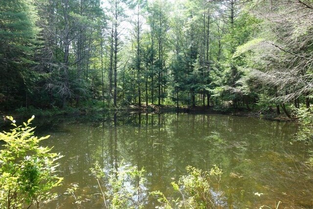 0 Dudleyville Rd, Leverett, MA 01054