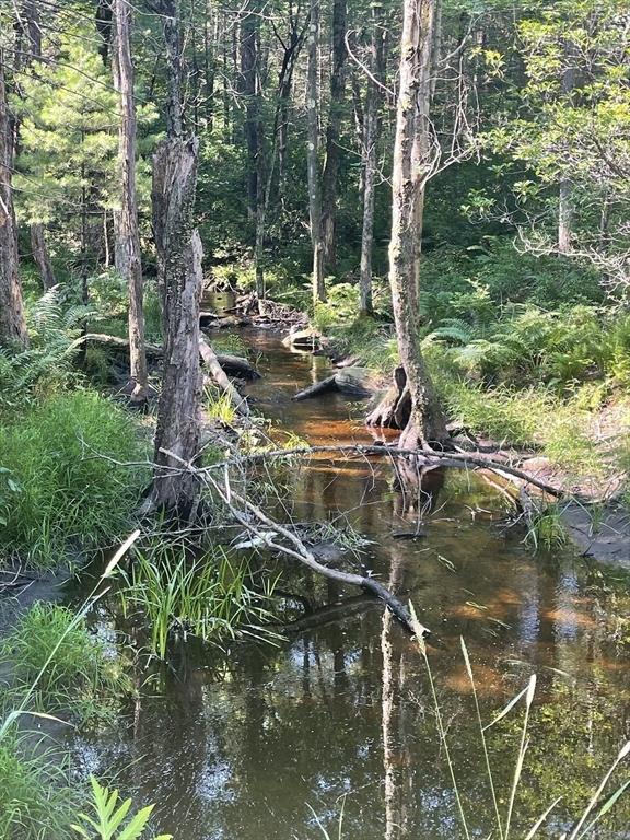 0 Dudleyville Rd, Leverett, MA 01054