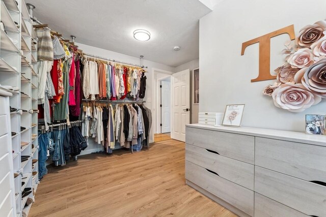 17 Atwood Ave, Millbury, MA 01527 - walk in closet featuring light wood finished floors