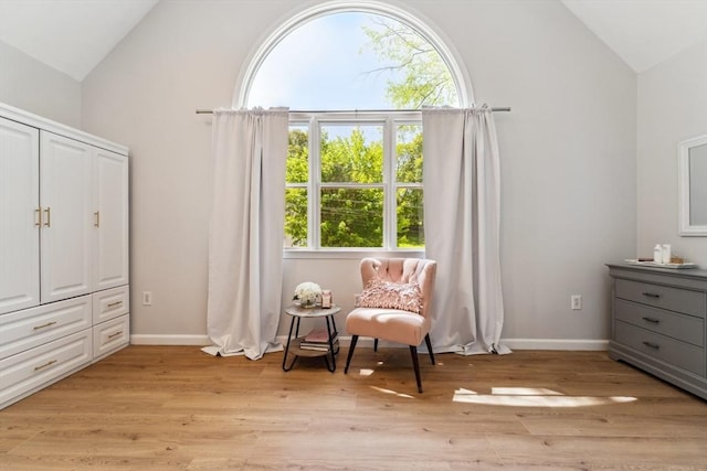 17 Atwood Ave, Millbury, MA 01527 - sitting room featuring vaulted ceiling, light wood finished floors, and baseboards