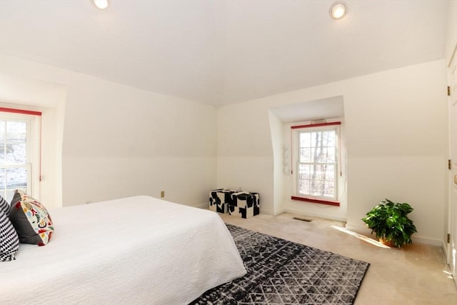 carpeted bedroom with multiple windows