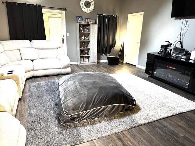 living room with dark hardwood / wood-style flooring