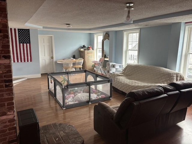 living room with a raised ceiling, a textured ceiling, and hardwood / wood-style floors