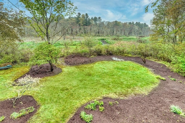 view of green lawn featuring a view of trees